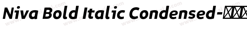 Niva Bold Italic Condensed字体转换